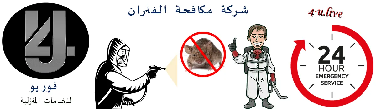 شركة مكافحة حشرات في أبو تشت - قنا 01007437872 خصم 60%