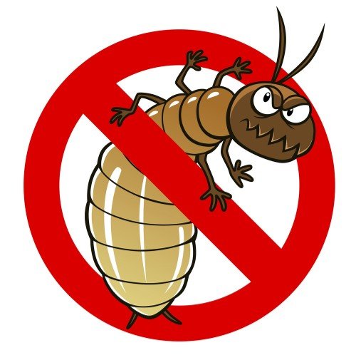 شركة مكافحة حشرات في القطامية هايتس 01007437872 خصم 55%